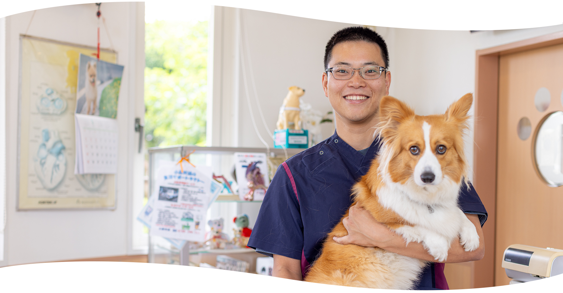 ハーモニー動物病院