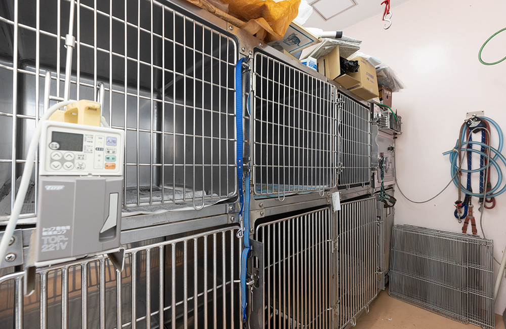 トリミング・ペットホテル