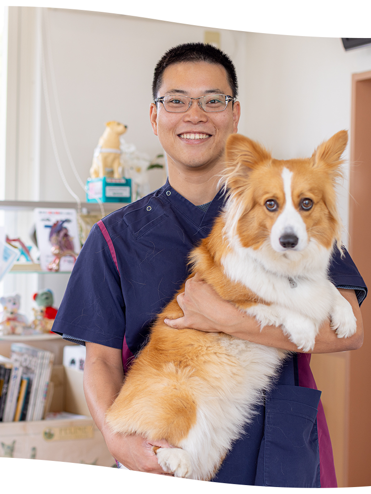 ハーモニー動物病院